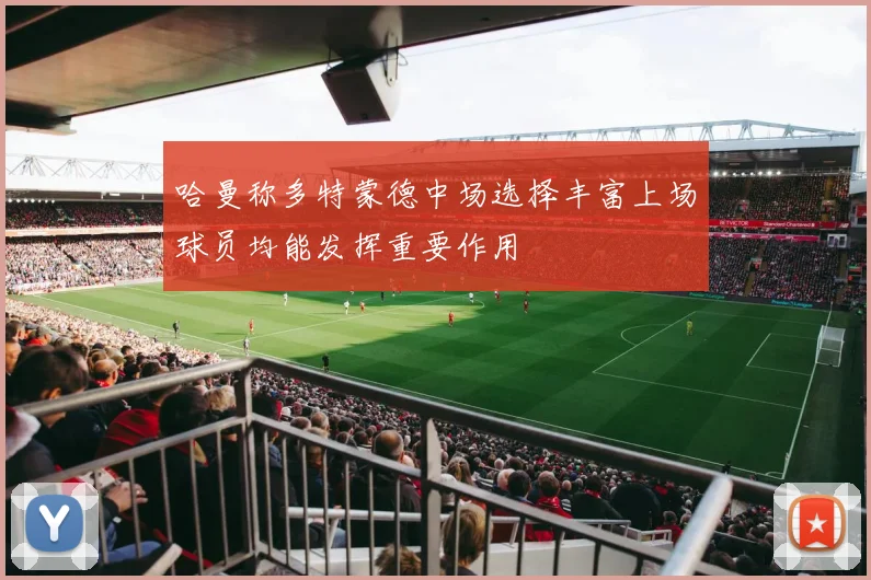 哈曼称多特蒙德中场选择丰富上场球员均能发挥重要作用