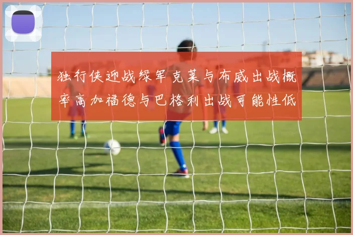 独行侠迎战绿军克莱与布威出战概率高加福德与巴格利出战可能性低