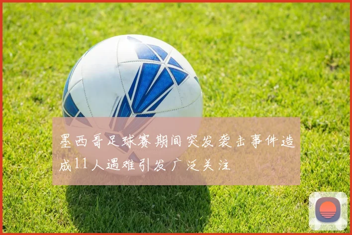 墨西哥足球赛期间突发袭击事件造成11人遇难引发广泛关注