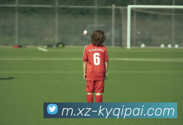 App Interface Preview