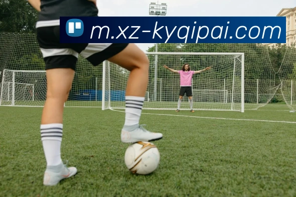 开云体育APP 封面图